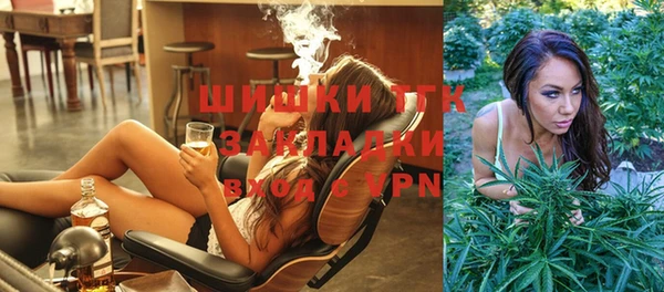 дживик Баксан