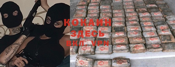 дживик Баксан