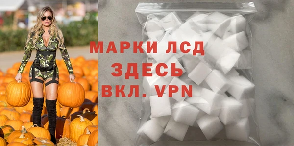 дживик Баксан