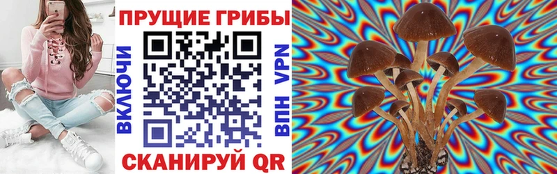 как найти закладки  Вяземский  Галлюциногенные грибы MAGIC MUSHROOMS 