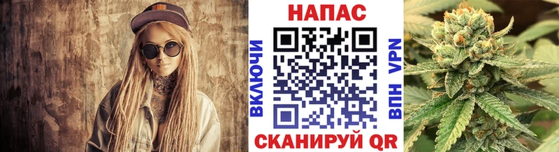Канабис OG Kush  купить   Вяземский 